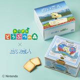 【販売終了】【予約商品】白い恋人36枚入「あつまれ どうぶつの森 ジュンより」コラボ缶
